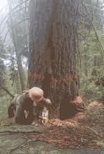 女朋友说给我尝一口怎么幽默回复,女朋友说给我吃东西怎么回