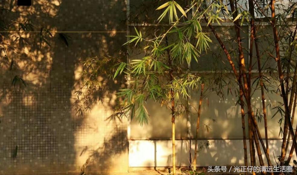 清远华侨中学招生联系方式,清远二中和华侨中学哪个好