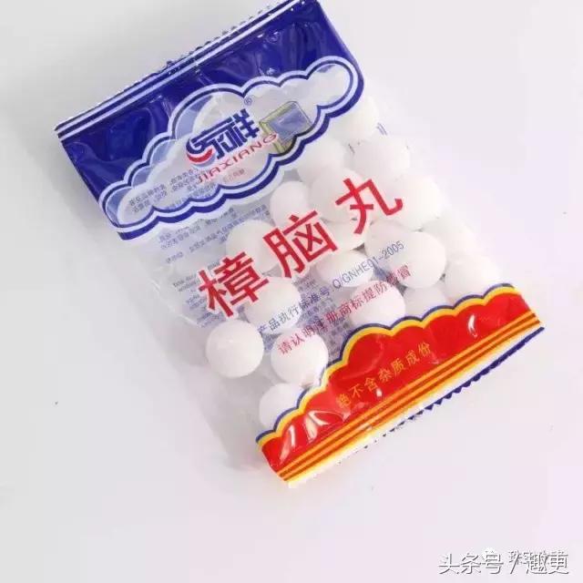 怎样防止文玩生虫,文玩昆虫