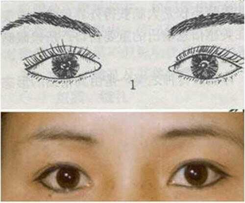 怎么知道你的眼型是哪种,99%的人不知道自己什么眼型