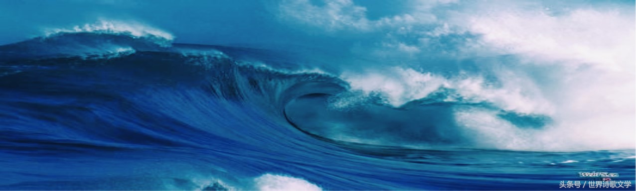 「世界诗歌文学」浪头一直举起没有倒下，很多事物一哄而散