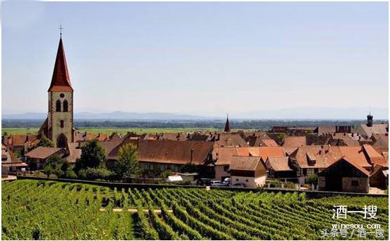 雷司令半干型白葡萄酒特点,雷司令半甜白葡萄酒测评