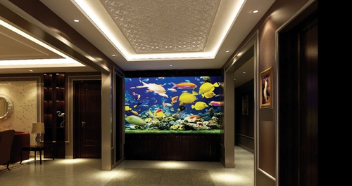 买鱼缸怎么选最好的鱼缸,新手怎么挑选一款好点的鱼缸