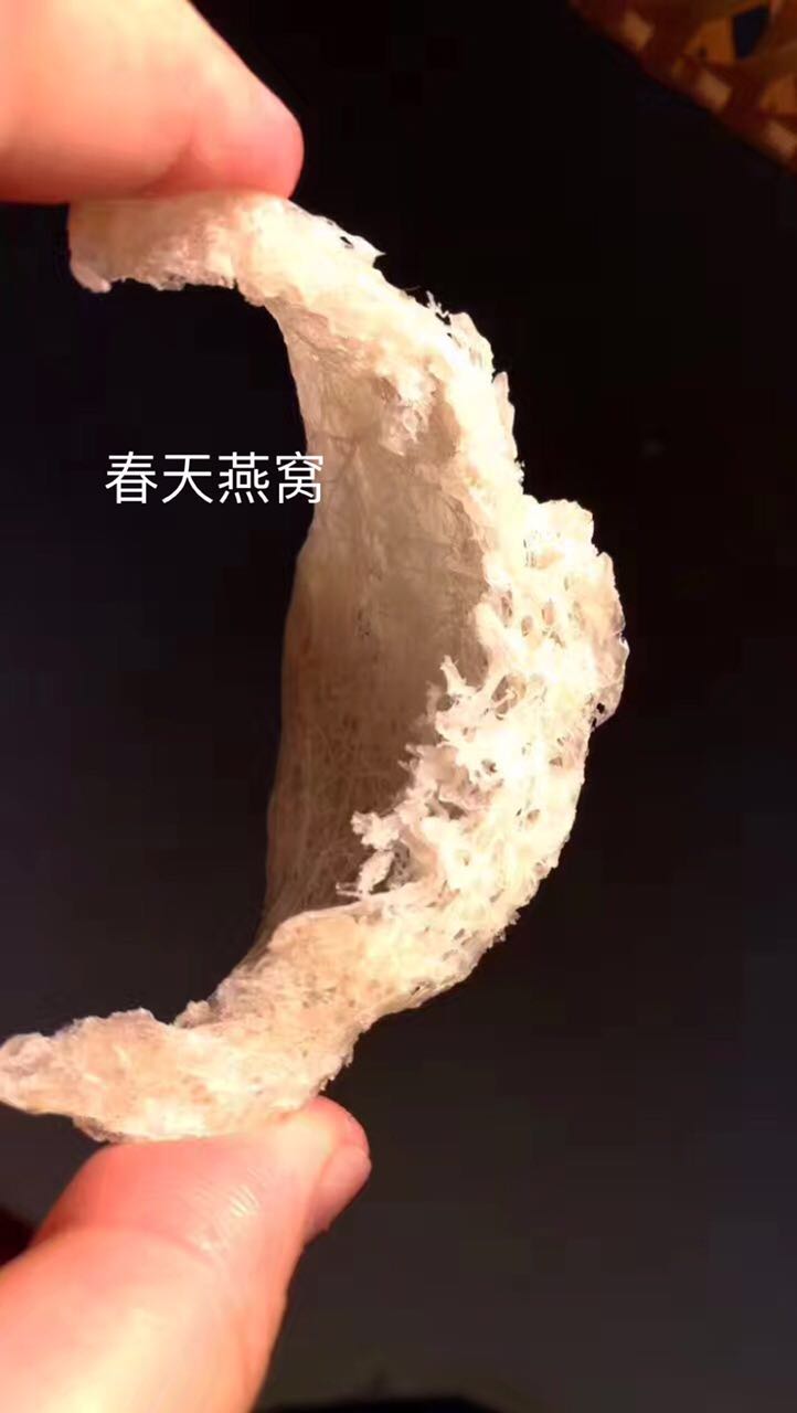 燕窝知识及鉴别哪种燕窝最好,燕窝最简单的辨别方法