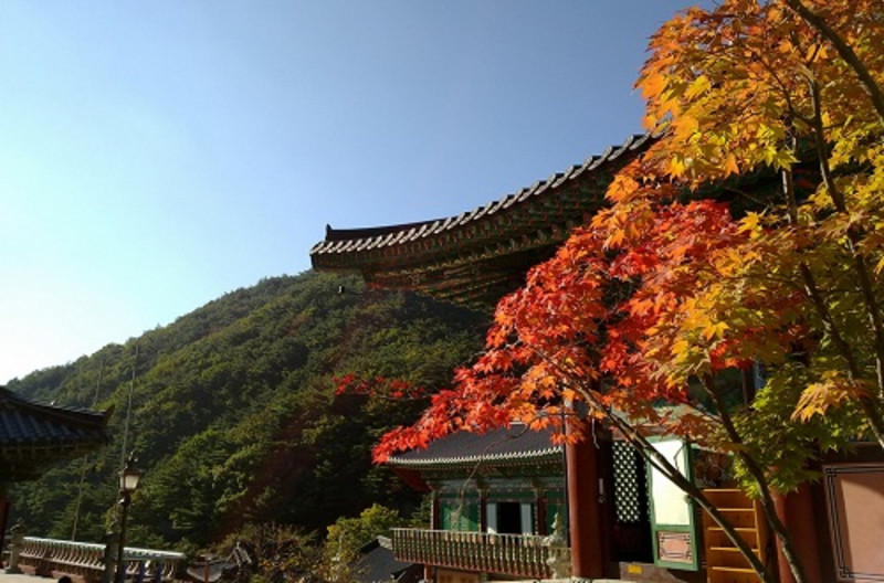 去韩国首尔自由行多少钱,畅游首尔14天