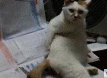 莫名其妙被别人邀请进群,突然被加入群聊