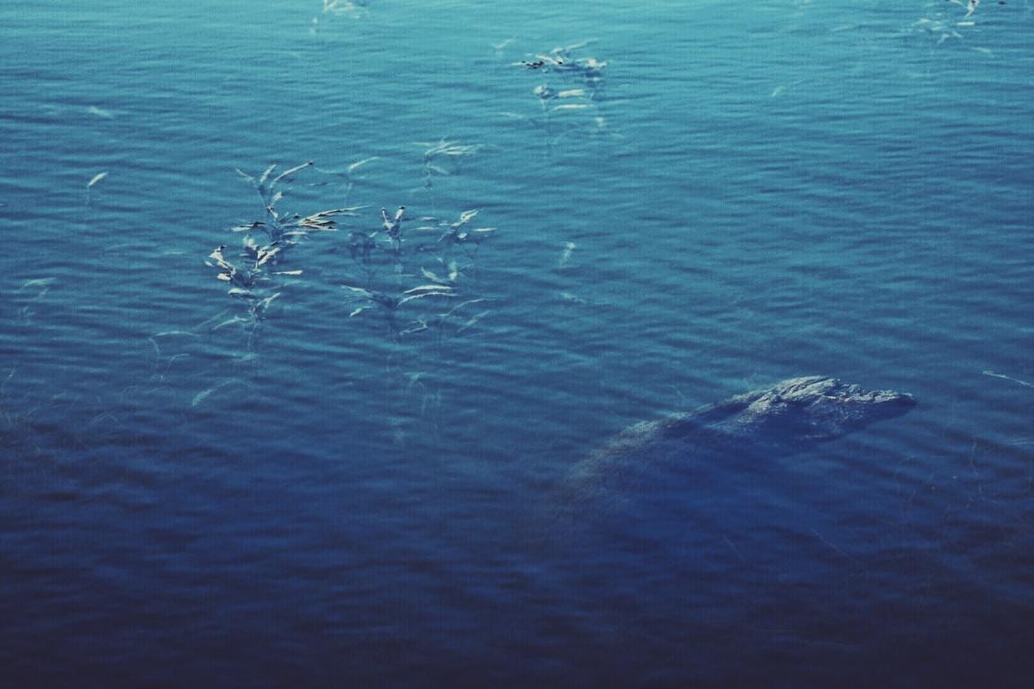 尼康d7200成片欣赏,尼康d7200一镜走天下