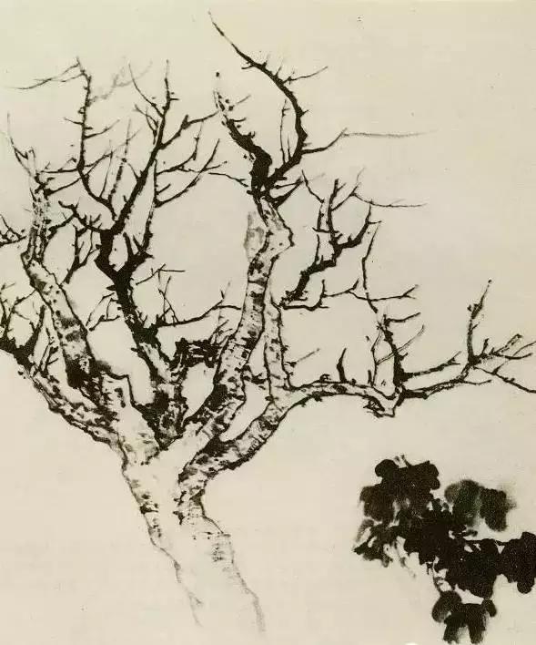 怎么画树最简单而且还最好看,怎么样才能画树画的最好看