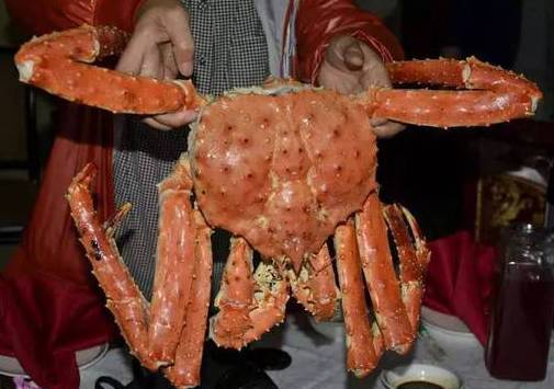 告别邀请函!10分钟搞定电子签,长假去这买票还来得及!