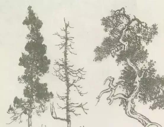 怎么画树最简单而且还最好看,怎么样才能画树画的最好看