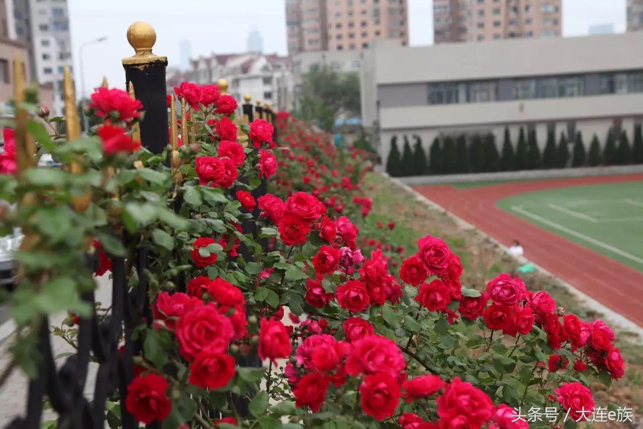 大连最牛逼的学校,大连最好的三所学校