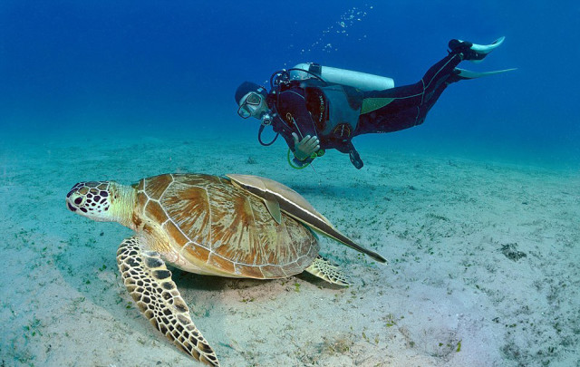 巴拉望岛好玩吗,巴拉望岛最大的岛屿