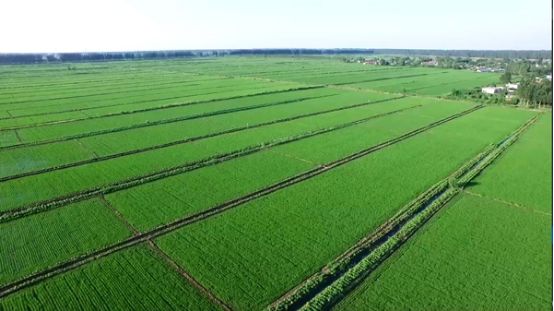 五大行业未来发展趋势,五大专业就业前景