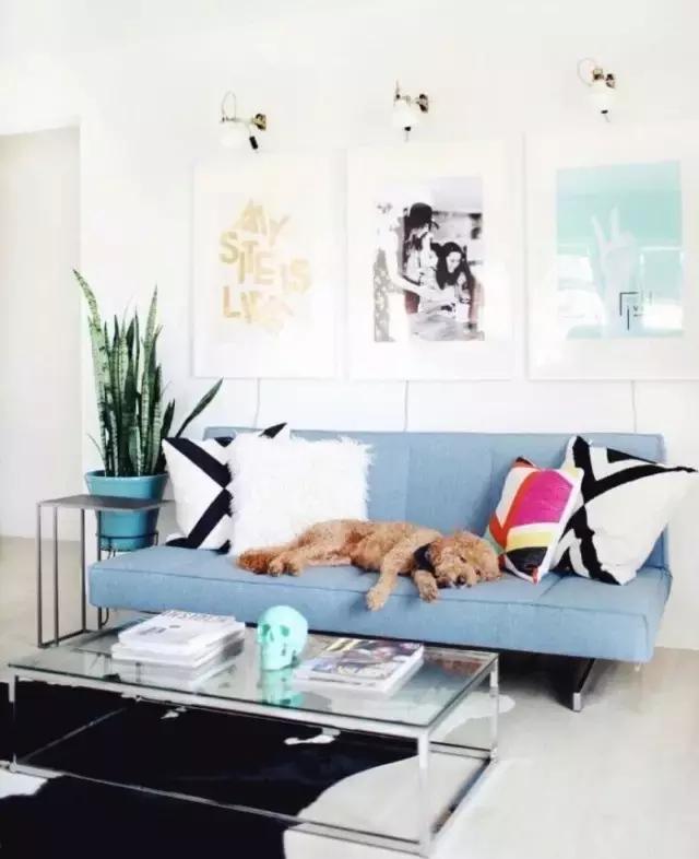 花卉摆放位置有讲究,风水上可以招财的花卉植物