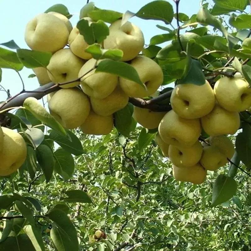 六安最新规划小镇,六安小镇最新消息