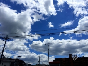 碉堡｜日本关西深度游最详细攻略！体验全日本最美的小渔村，吃嗨