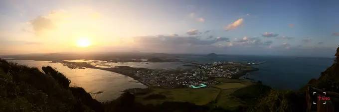 做一只治愈的猫,做一只快乐的柴犬