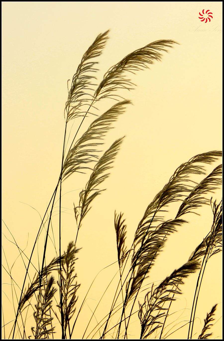 关于日月风云的四字成语,赞美日月风云的成语