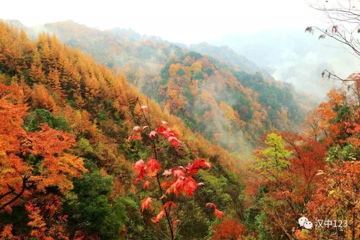 汉中光雾山最详细地点,光雾山旅游景区感受大自然
