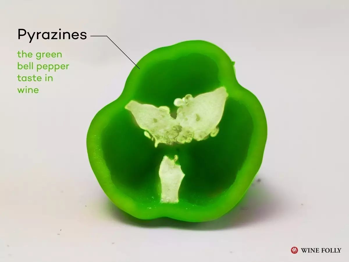 酿酒葡萄好喝吗,酿酒葡萄品种之赤霞珠