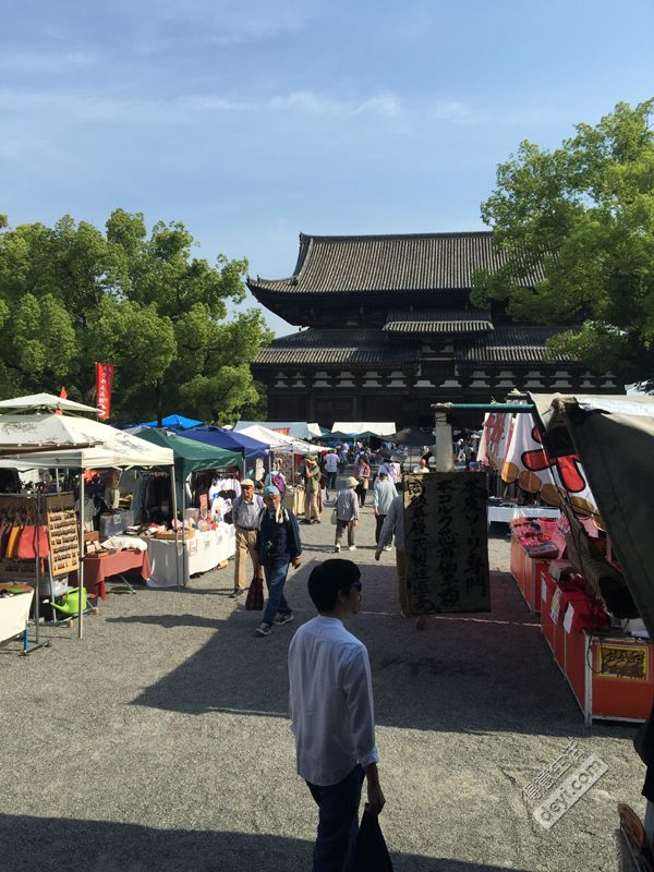 日本小众深度游玩攻略,日本关西打卡攻略