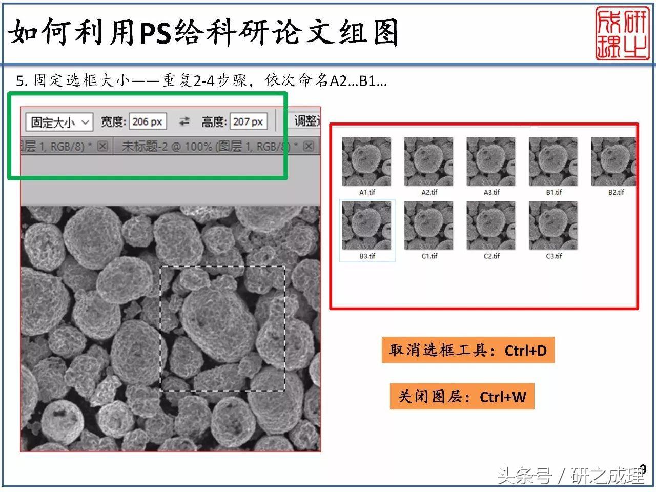 ps绉戠爺缁勫浘鎺掔増,濡備綍鐢╬s杩涜璁烘枃浣滃浘