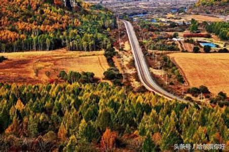 5月19号黑龙江有哪些景区免门票,黑龙江旅游日免门票景区