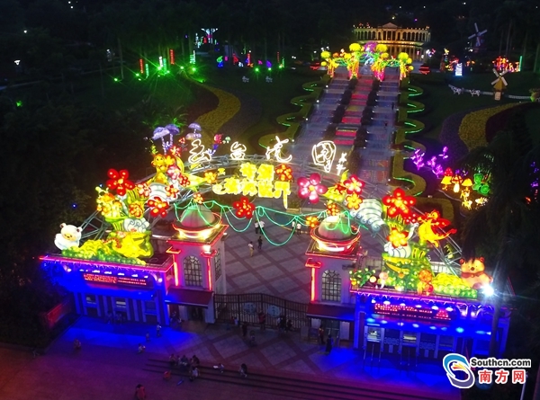 广州森林旅行,广州森林之旅