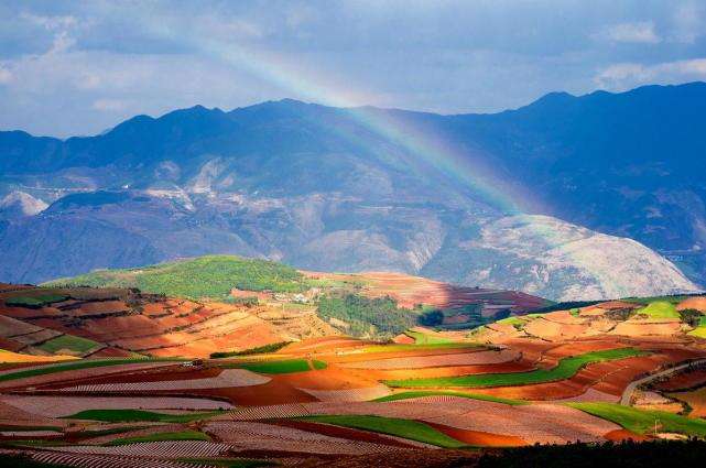 云南火腿月饼才叫真正好吃,云南火腿月饼是用边角料做的
