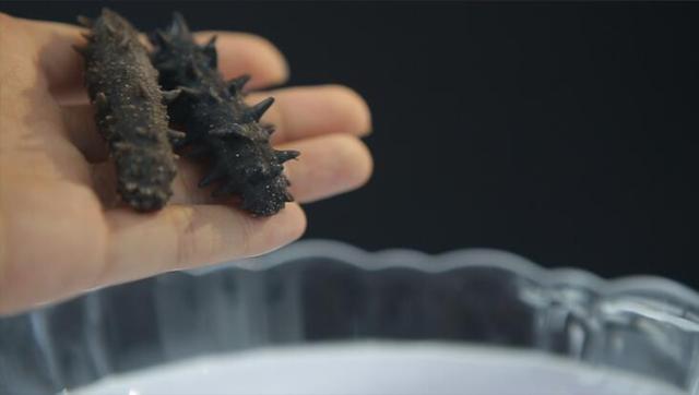 海参真实的营养价值,专家揭秘海参的真实营养价值