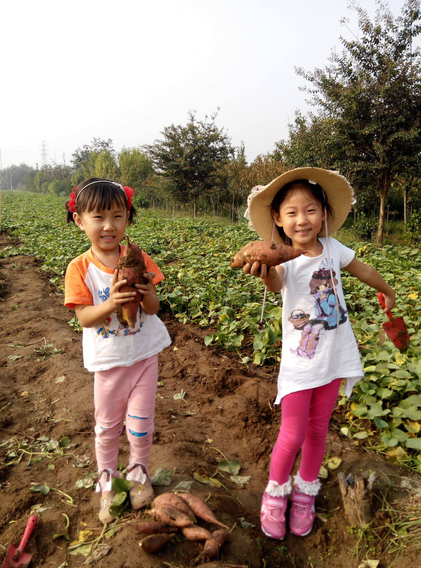 十一攻略指南,详细攻略带你轻松游玩