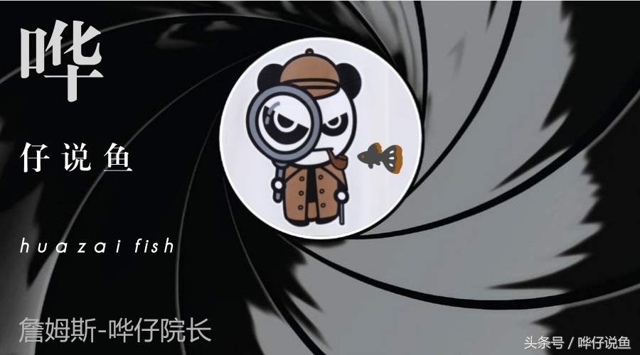 瀵绘壘绁炵榫欓奔,鎺㈢绁炵楸肩被