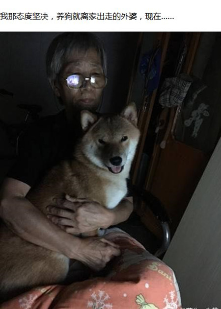 家长不让养宠物怎么说服,爸妈不让养宠物怎么办