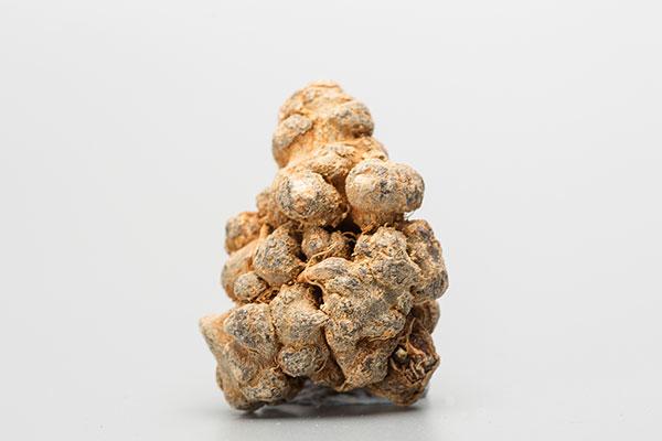 三七是每个人都能喝吗,坚持服用三七给你带来16大改变