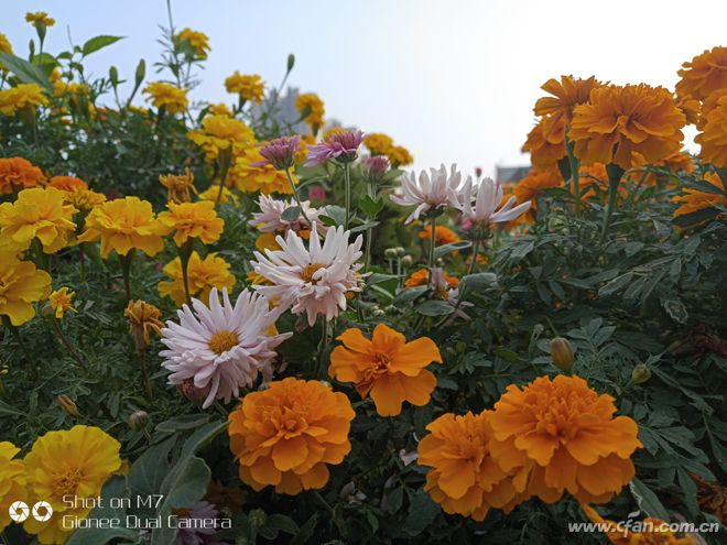 金立m7深度解析,金立m7到底怎么样