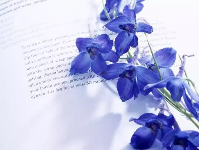 芳香疗法对人体的作用,芳香疗法的优缺点