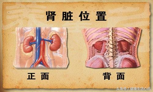 肾衰竭肾囊肿怎么治疗最好,肾衰竭和肾囊肿有什么区别