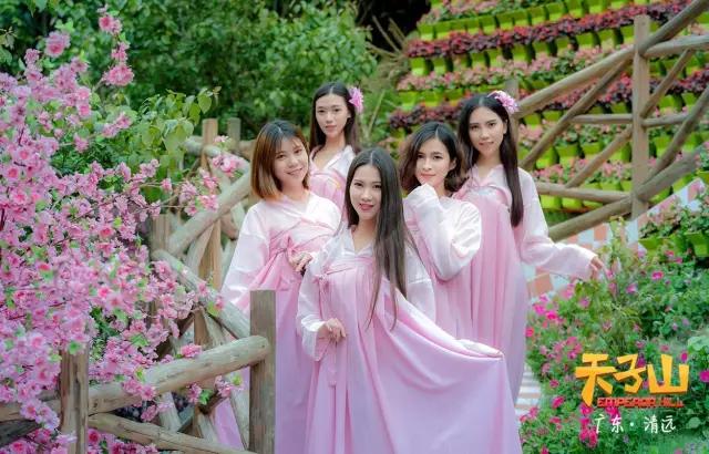 自由行天子山旅游攻略,天子地风景区拍照攻略