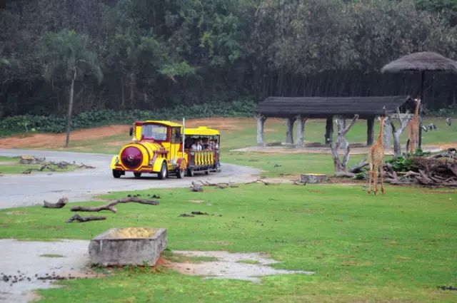 广州长隆野生动物园吃东西攻略,广州长隆野生动物园吃喝攻略
