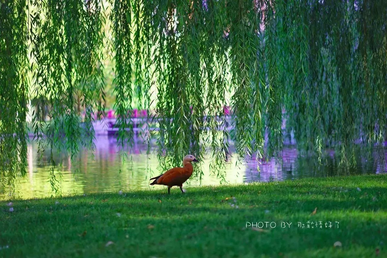 北京汤泉度假酒店排名,京城度假酒店