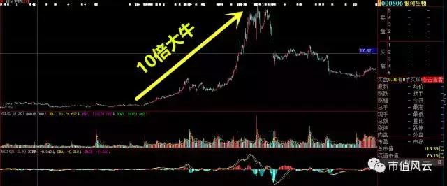 涓轰粈涔堥摱娌崇敓鐗╄偂鍋滅墝,閾舵渤鐢熺墿鑲＄エ鍙堝仠鐗屼簡