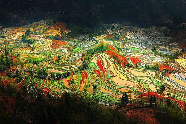 波兰人眼中的欧洲,波兰人眼中的俄罗斯人是什么样的