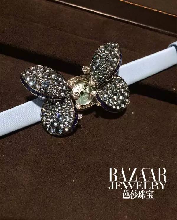 时尚新宠到底有哪些魅力,时尚界的新宠是谁