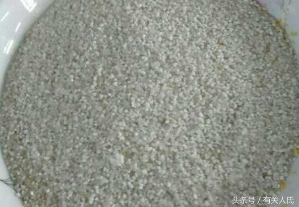 自制酒米野钓爆护,泡酒米钓鱼制作