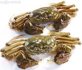 海蟹和河蟹怎么区别,海蟹河蟹区分