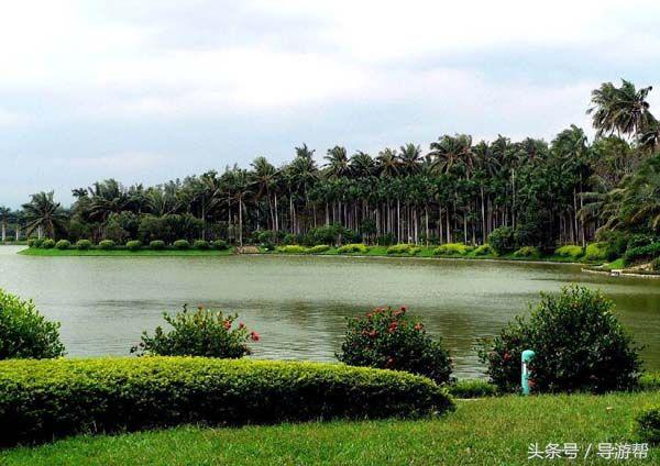海南三亚当地导游推荐,海南三亚导游词鹿回头