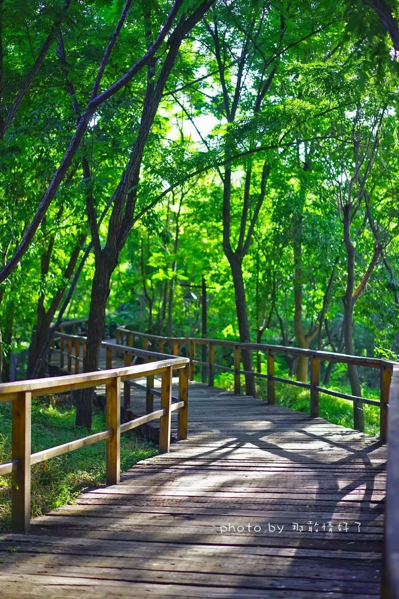 北京汤泉度假酒店排名,京城度假酒店