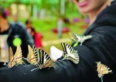 韩城文化旅游,韩城今年国庆旅游