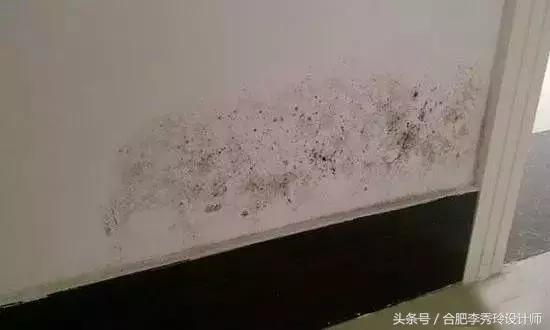 墙壁发霉有什么方法处理,反光材质发霉咋办