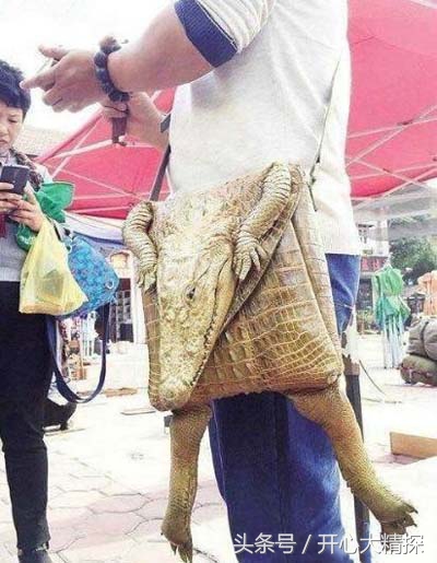 高档鳄鱼皮包包,大气时尚的鳄鱼纹小包包